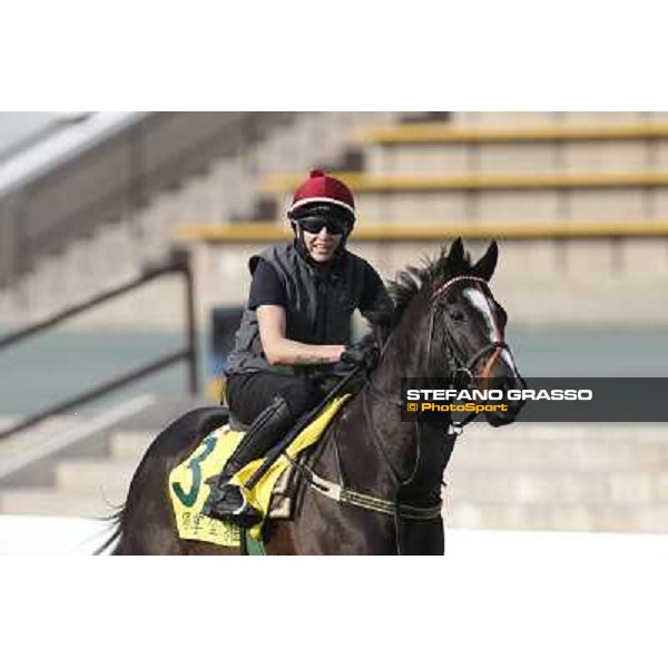 morning worksout - Sole Power Hong Kong,Sha Tin racecourse,6th dec.2013 ph.Stefano Grasso