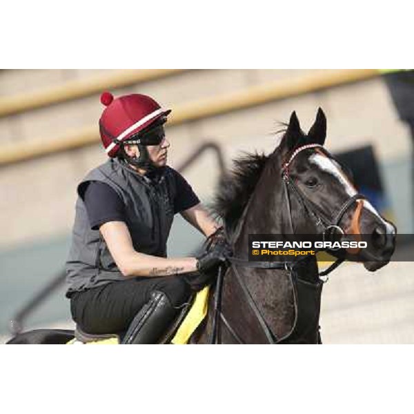 morning worksout - Sole Power Hong Kong,Sha Tin racecourse,6th dec.2013 ph.Stefano Grasso