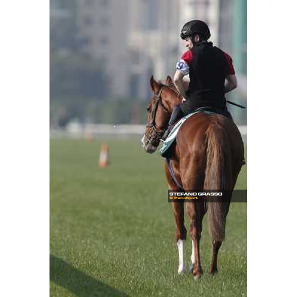 morning worksout - Galileo Rock Hong Kong,Sha Tin racecourse,6th dec.2013 ph.Stefano Grasso