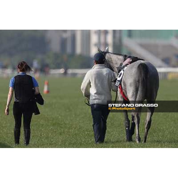 morning worksout - Sky Lantern Hong Kong,Sha Tin racecourse,6th dec.2013 ph.Stefano Grasso
