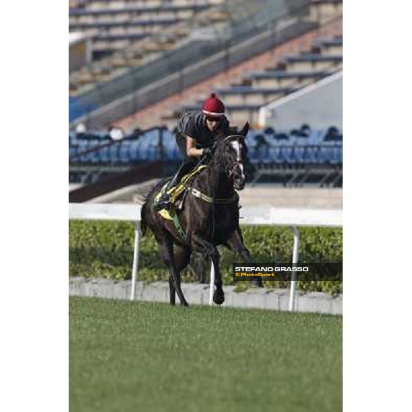 morning worksout - Sole Power Hong Kong,Sha Tin racecourse,6th dec.2013 ph.Stefano Grasso
