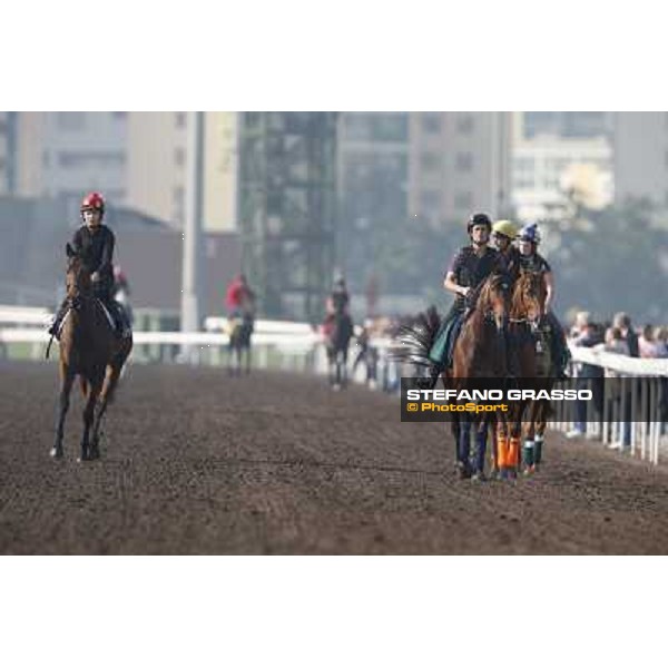 morning worksout - Dunaden Hong Kong,Sha Tin racecourse,6th dec.2013 ph.Stefano Grasso