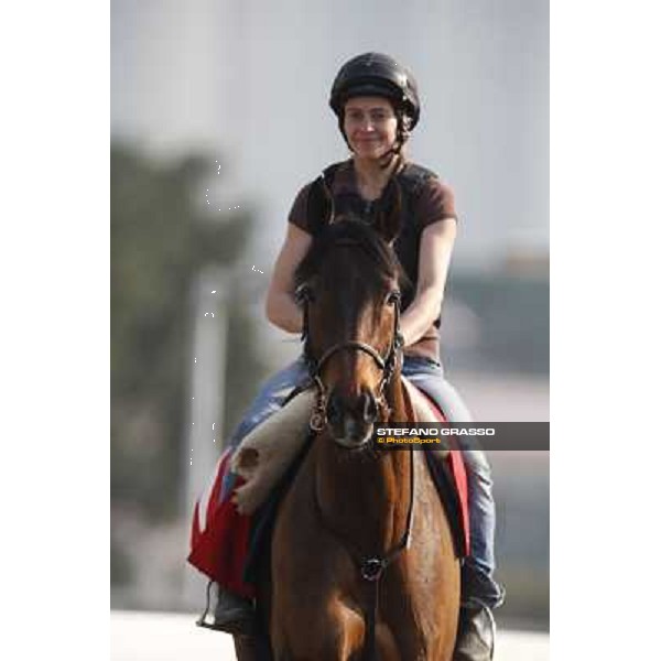 morning worksout - Cirrus des Aigles Hong Kong,Sha Tin racecourse,6th dec.2013 ph.Stefano Grasso