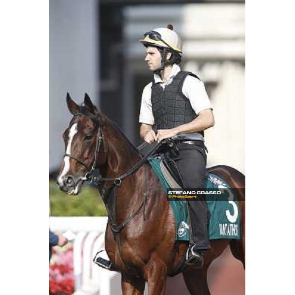 morning worksout - Mount Athos Hong Kong,Sha Tin racecourse,6th dec.2013 ph.Stefano Grasso