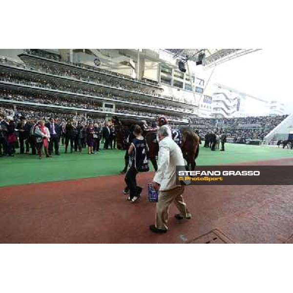 The Longines Hong Kong Cup - Christophe Soumillon and Cirrus des Aigles Hong Kong-Sha Tin racecourse,8th dec.2013 ph.Stefano Grasso/Longines