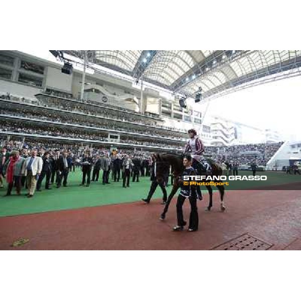 Douglas Whyte and Akeed Mofeed win the Longines Hong Kong Cup Hong Kong-Sha Tin racecourse,8th dec.2013 ph.Stefano Grasso/Longines