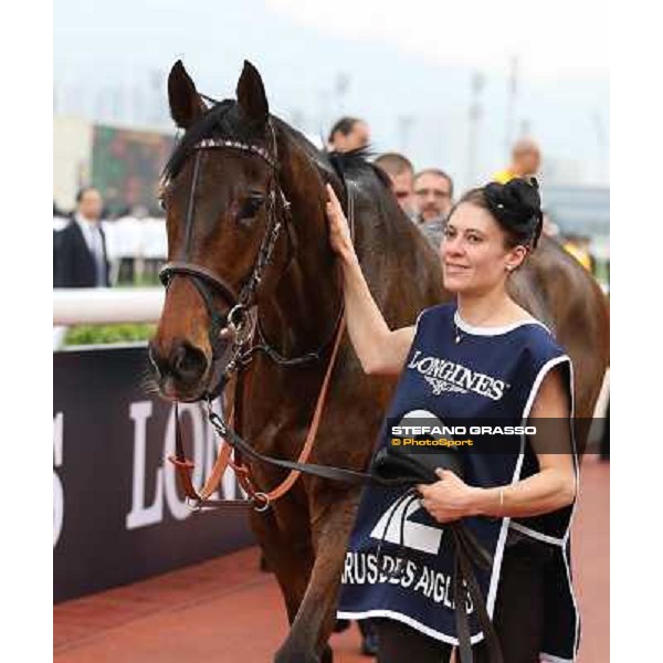 The Longines Hong Kong Cup - Cirrus des Aigles and his groom Hong Kong-Sha Tin racecourse,8th dec.2013 ph.Stefano Grasso/Longines
