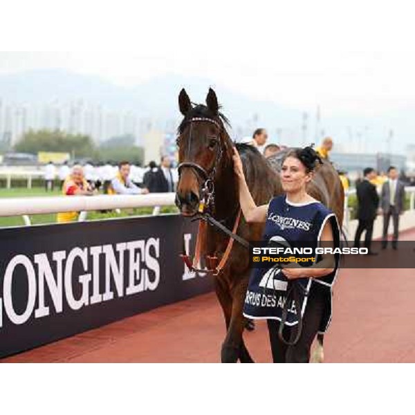 The Longines Hong Kong Cup - Cirrus des Aigles and his groom Hong Kong-Sha Tin racecourse,8th dec.2013 ph.Stefano Grasso/Longines