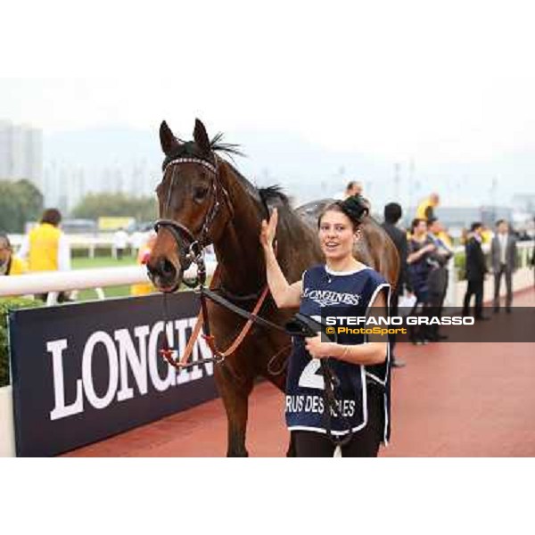 The Longines Hong Kong Cup - Cirrus des Aigles and his groom Hong Kong-Sha Tin racecourse,8th dec.2013 ph.Stefano Grasso/Longines