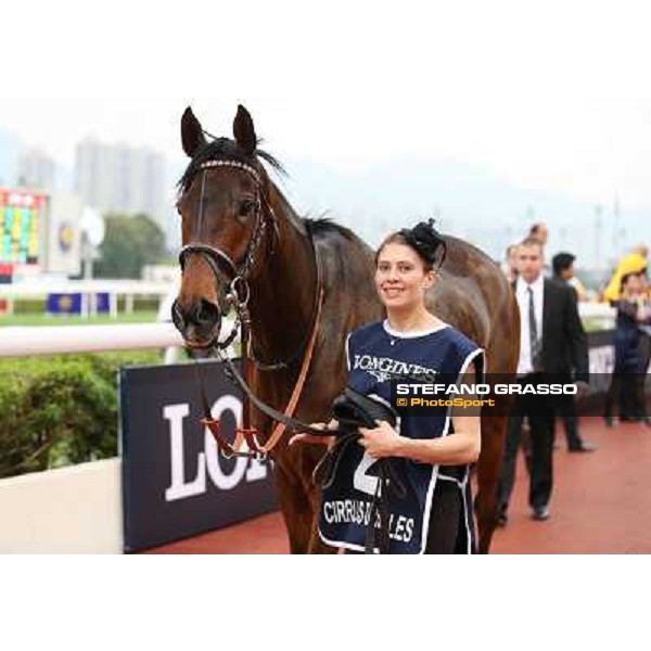 The Longines Hong Kong Cup - Cirrus des Aigles and his groom Hong Kong-Sha Tin racecourse,8th dec.2013 ph.Stefano Grasso/Longines