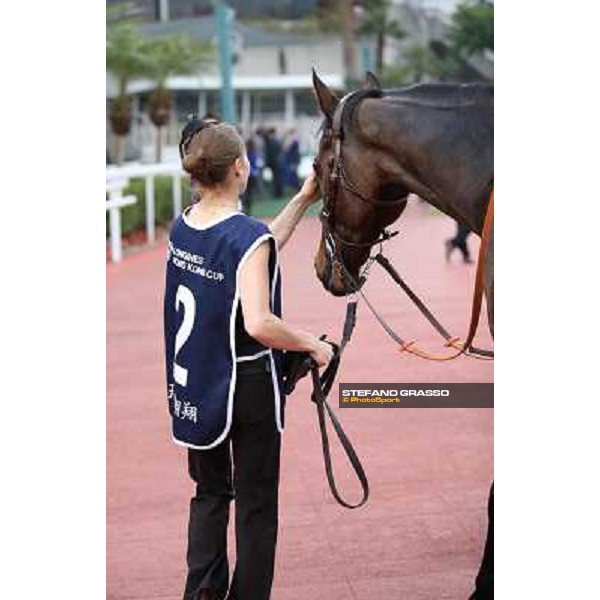 The Longines Hong Kong Cup - Cirrus des Aigles and his groom Hong Kong-Sha Tin racecourse,8th dec.2013 ph.Stefano Grasso/Longines