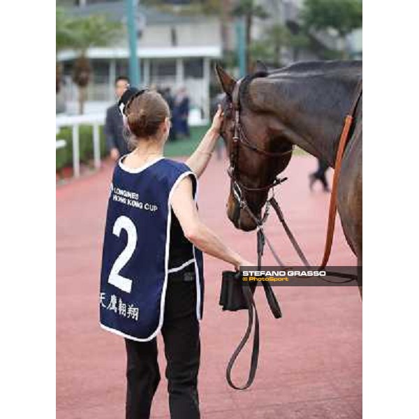 The Longines Hong Kong Cup - Cirrus des Aigles and his groom Hong Kong-Sha Tin racecourse,8th dec.2013 ph.Stefano Grasso/Longines