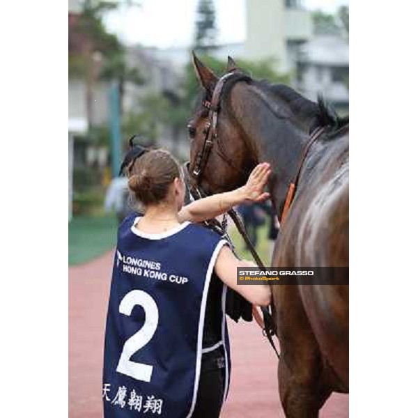 The Longines Hong Kong Cup - Cirrus des Aigles and his groom Hong Kong-Sha Tin racecourse,8th dec.2013 ph.Stefano Grasso/Longines
