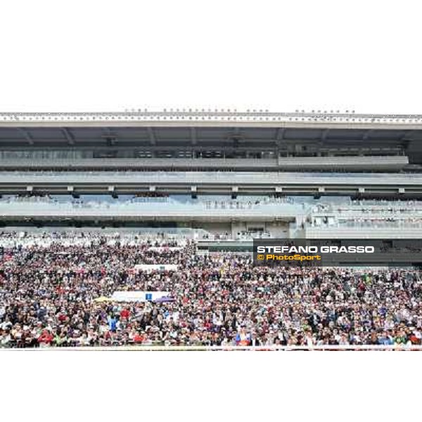 Grandstand Hong Kong-Sha Tin racecourse,8th dec.2013 ph.Stefano Grasso/Longines