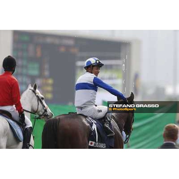 Yasunari Iwata and Lord Kanaloa win the Longines Hong Kong Sprint Hong Kong-Sha Tin racecourse,8th dec.2013 ph.Stefano Grasso/Longines