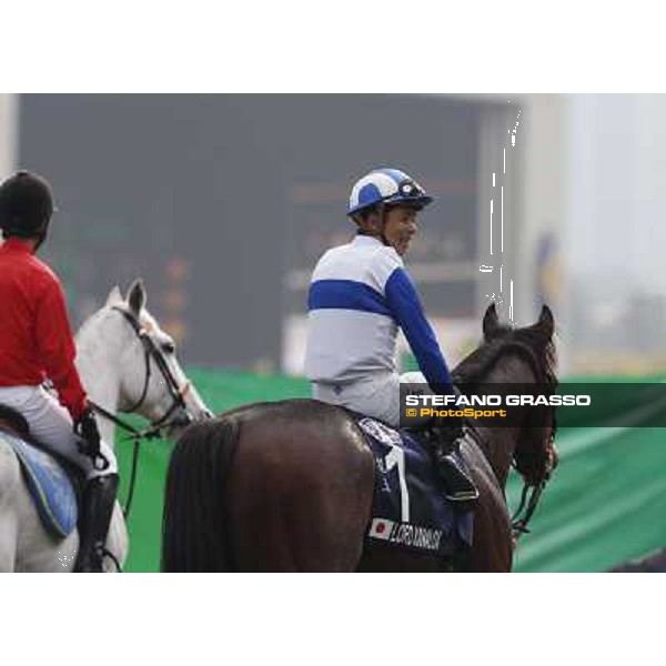 Yasunari Iwata and Lord Kanaloa win the Longines Hong Kong Sprint Hong Kong-Sha Tin racecourse,8th dec.2013 ph.Stefano Grasso/Longines
