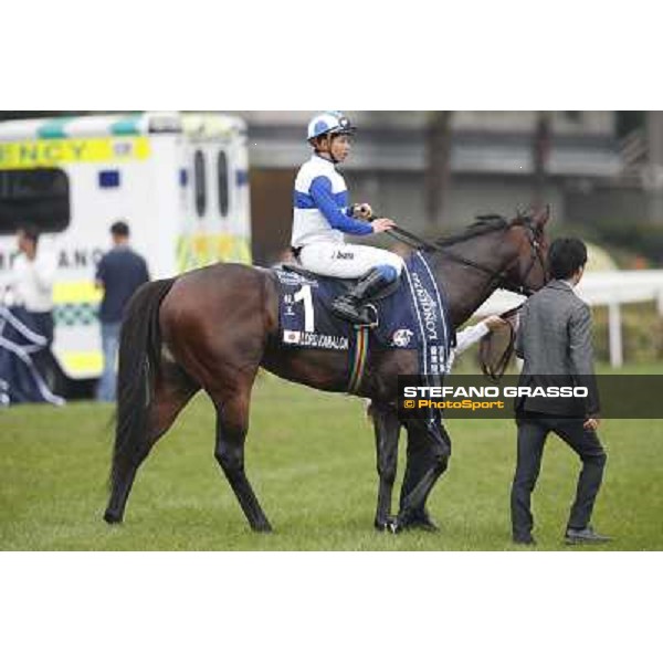 Yasunari Iwata and Lord Kanaloa win the Longines Hong Kong Sprint Hong Kong-Sha Tin racecourse,8th dec.2013 ph.Stefano Grasso/Longines
