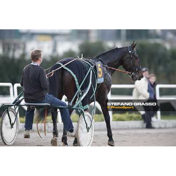 Robert Bi wins the second leg of the 86° Derby Italiano del Trotto - Trofeo La Torrente Napoli - Ippodromo di Agnano,14 dicembre 2013 ph.Stefano Grasso/Ippodromi Partenopei
