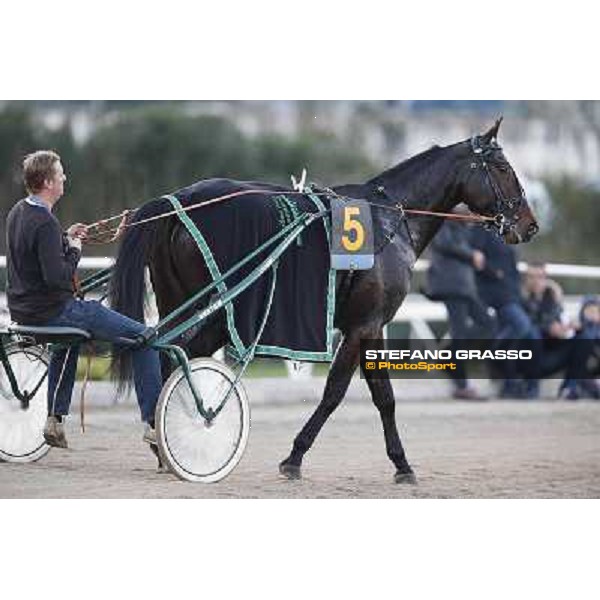Robert Bi wins the second leg of the 86° Derby Italiano del Trotto - Trofeo La Torrente Napoli - Ippodromo di Agnano,14 dicembre 2013 ph.Stefano Grasso/Ippodromi Partenopei