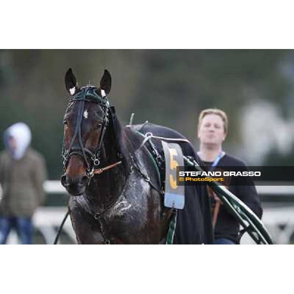 Robert Bi wins the second leg of the 86° Derby Italiano del Trotto - Trofeo La Torrente Napoli - Ippodromo di Agnano,14 dicembre 2013 ph.Stefano Grasso/Ippodromi Partenopei
