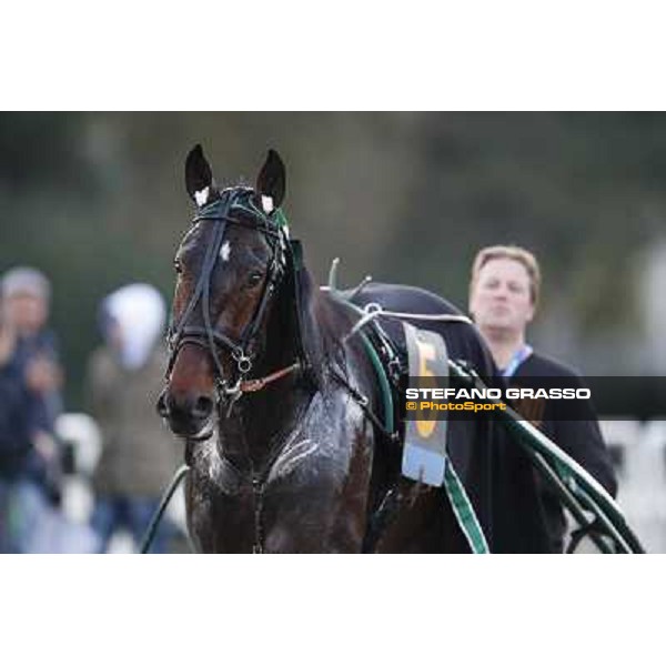 Robert Bi wins the second leg of the 86° Derby Italiano del Trotto - Trofeo La Torrente Napoli - Ippodromo di Agnano,14 dicembre 2013 ph.Stefano Grasso/Ippodromi Partenopei