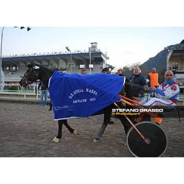 Orsia winner of the Gran Premio Royal Mares - Allevamento Garigliano Napoli - Ippodromo di Agnano,14 dicembre 2013 ph.Stefano Grasso/Ippodromi Partenopei
