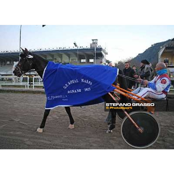 Orsia winner of the Gran Premio Royal Mares - Allevamento Garigliano Napoli - Ippodromo di Agnano,14 dicembre 2013 ph.Stefano Grasso/Ippodromi Partenopei