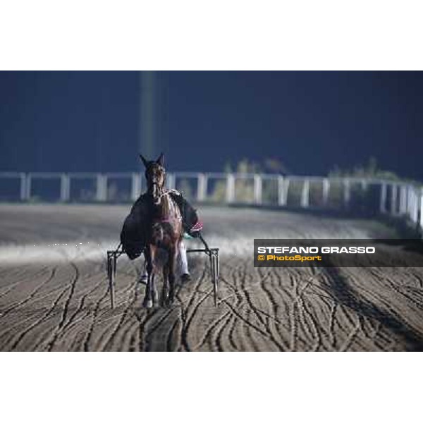 Racing Gran Premio Tino Triossi - Princess Grif Napoli - Ippodromo di Agnano,14 dicembre 2013 ph.Stefano Grasso/Ippodromi Partenopei
