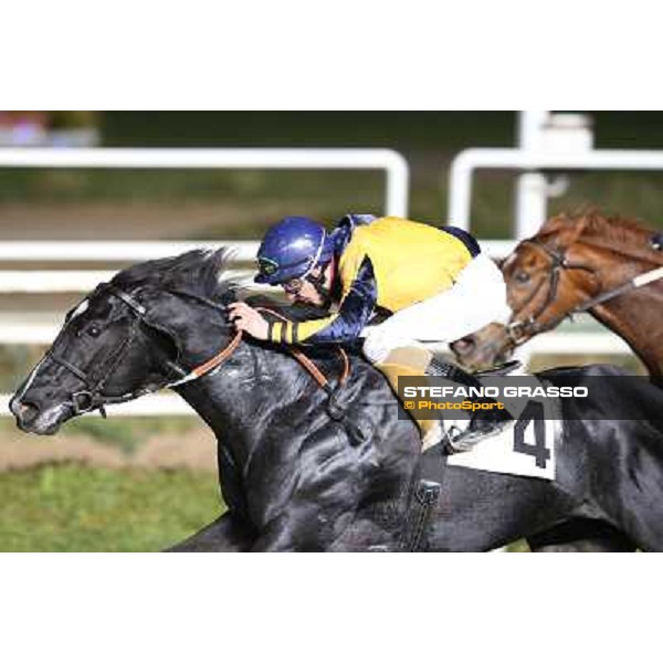 Djordje Perovic with Salford Secret wins the Premio Criterium Partenopeo Napoli,Agnano 29 dicembre 2013 ph.Stefano Grasso/Ippodromi Partenopei srl