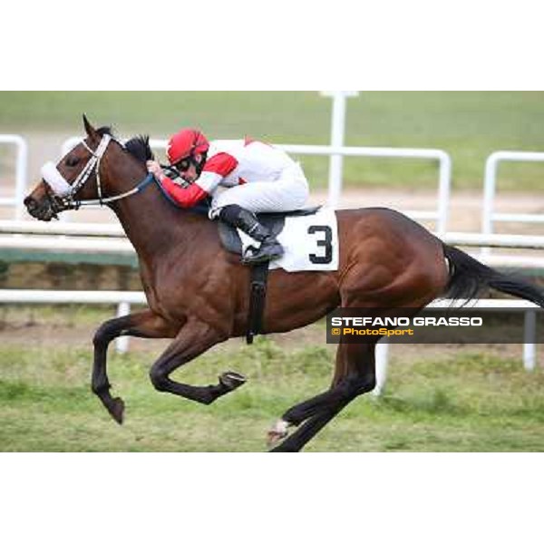 Francesco Dettori on Gulfstream Kitten goes to win the Premio Ass.Naz.ex Internati Lager Nazisti Napoli,Agnano 29 dicembre 2013 ph.Stefano Grasso/Ippodromi Partenopei srl