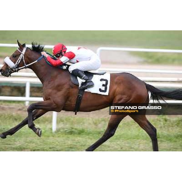 Francesco Dettori on Gulfstream Kitten goes to win the Premio Ass.Naz.ex Internati Lager Nazisti Napoli,Agnano 29 dicembre 2013 ph.Stefano Grasso/Ippodromi Partenopei srl