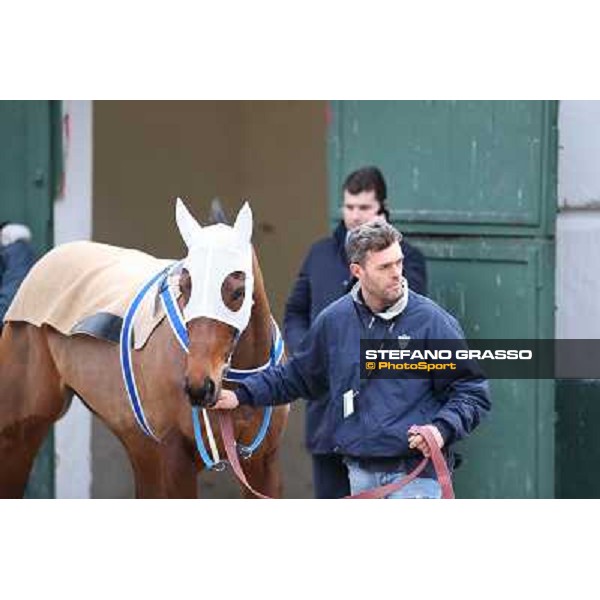 Noble Hachy Napoli,Agnano 29 dicembre 2013 ph.Stefano Grasso/Ippodromi Partenopei srl