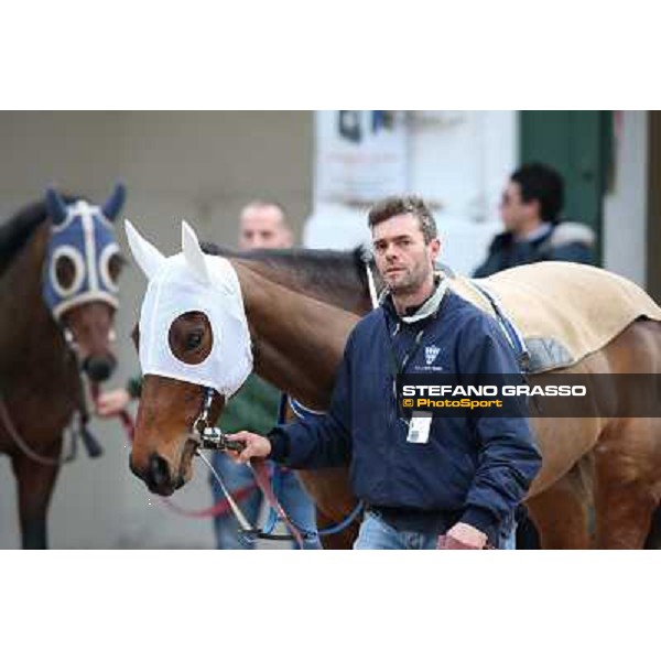 Noble Hachy Napoli,Agnano 29 dicembre 2013 ph.Stefano Grasso/Ippodromi Partenopei srl