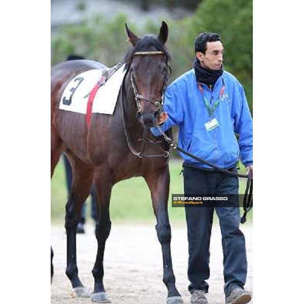Elettrotreno winner of the Gran Premio Città di Napoli Napoli,Agnano 29 dicembre 2013 ph.Stefano Grasso/Ippodromi Partenopei srl