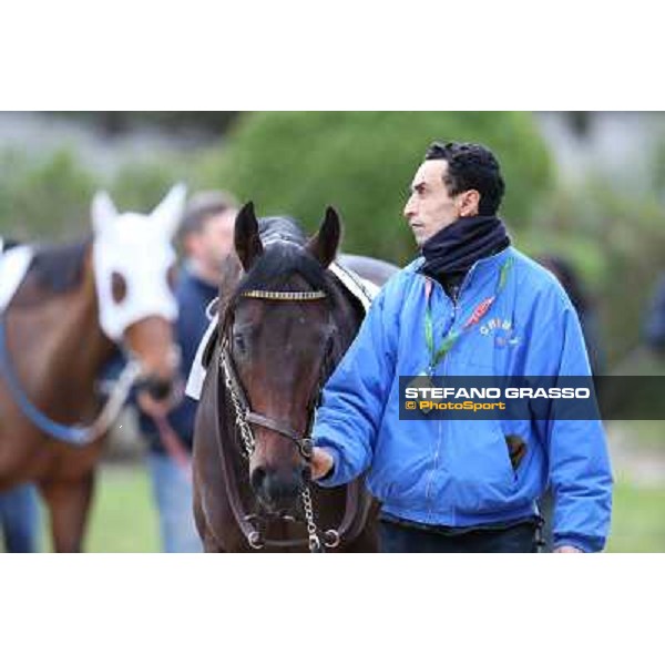 Elettrotreno winner of the Gran Premio Città di Napoli Napoli,Agnano 29 dicembre 2013 ph.Stefano Grasso/Ippodromi Partenopei srl
