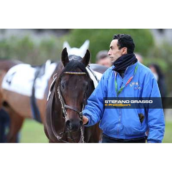Elettrotreno winner of the Gran Premio Città di Napoli Napoli,Agnano 29 dicembre 2013 ph.Stefano Grasso/Ippodromi Partenopei srl