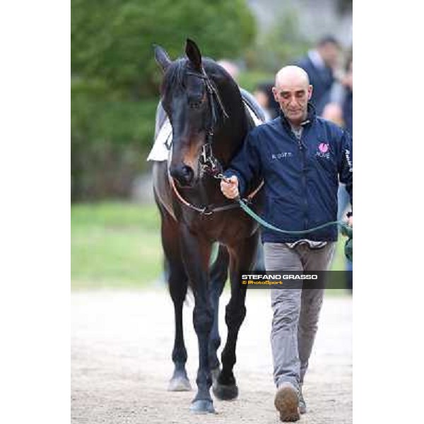 Dagda Mor - Gran Premio Città di Napoli Napoli,Agnano 29 dicembre 2013 ph.Stefano Grasso/Ippodromi Partenopei srl