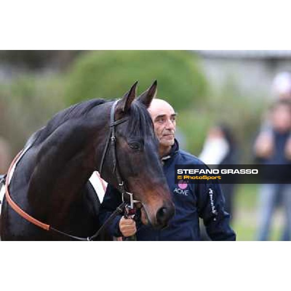 Dagda Mor - Gran Premio Città di Napoli Napoli,Agnano 29 dicembre 2013 ph.Stefano Grasso/Ippodromi Partenopei srl