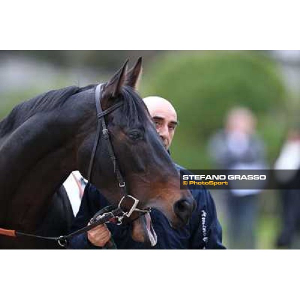 Dagda Mor - Gran Premio Città di Napoli Napoli,Agnano 29 dicembre 2013 ph.Stefano Grasso/Ippodromi Partenopei srl