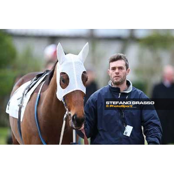 Noble Hachy - Gran Premio Città di Napoli Napoli,Agnano 29 dicembre 2013 ph.Stefano Grasso/Ippodromi Partenopei srl