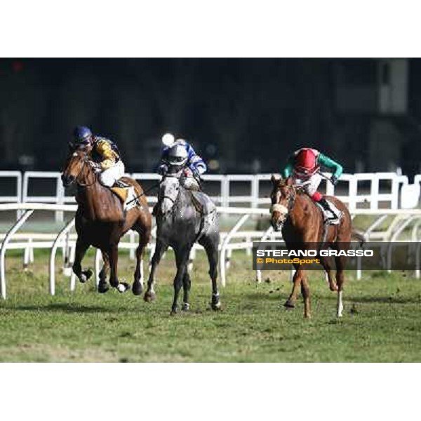 Djordjet Perovic on Lady Kikka wins the Premio Soragna beating Calittist and Comet Queen Napoli,Agnano 29 dicembre 2013 ph.Stefano Grasso/Ippodromi Partenopei srl