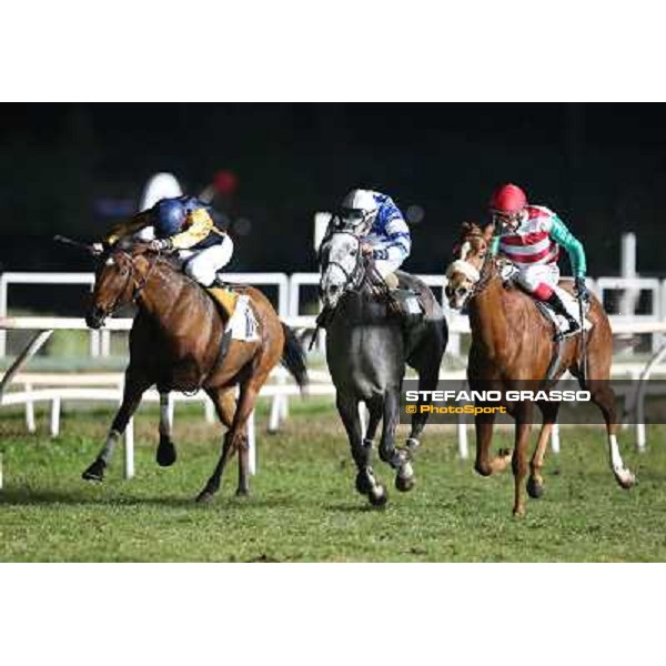 Djordjet Perovic on Lady Kikka wins the Premio Soragna beating Calittist and Comet Queen Napoli,Agnano 29 dicembre 2013 ph.Stefano Grasso/Ippodromi Partenopei srl