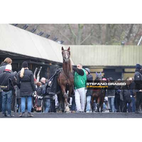 Marco Smorgon and Oropuro Bar - Prix du Luxembourg Paris - Vincennes, 25th jan.2014 ph.Stefano Grasso