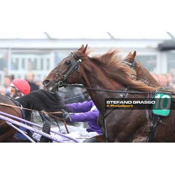 Oropuro Bar during the Prix du Luxembourg Paris - Vincennes, 25th jan.2014 ph.Stefano Grasso