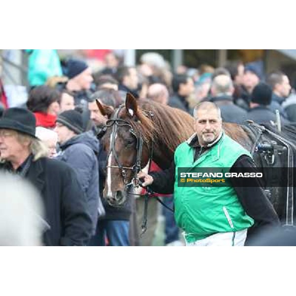 Oropuro Bar during the Prix du Luxembourg Paris - Vincennes, 25th jan.2014 ph.Stefano Grasso