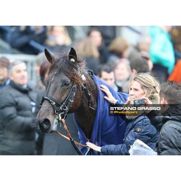 Turbo Jet and Karin Dubois winners of the Prix du Luxembourg Paris - Vincennes, 25th jan.2014 ph.Stefano Grasso