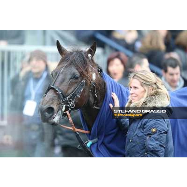 Turbo Jet and Karin Dubois winners of the Prix du Luxembourg Paris - Vincennes, 25th jan.2014 ph.Stefano Grasso