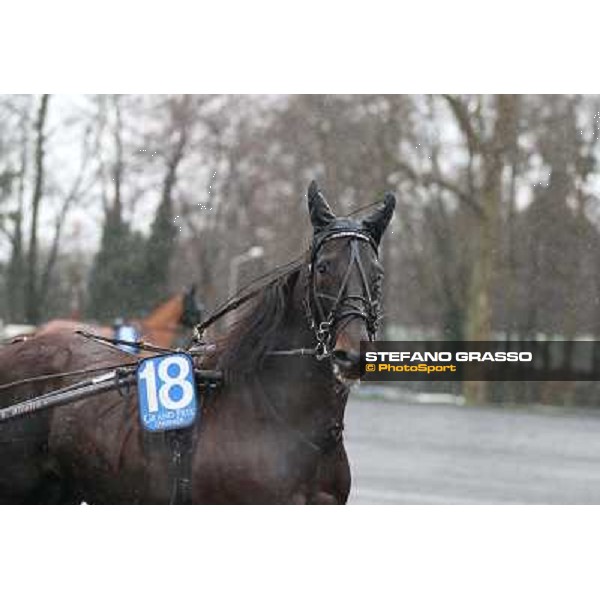 Orjan Kihlstrom with Maharajah wins the Grand Prix d\'Amerique 2014 Paris - Vincennes, 26th jan.2014 ph.Stefano Grasso