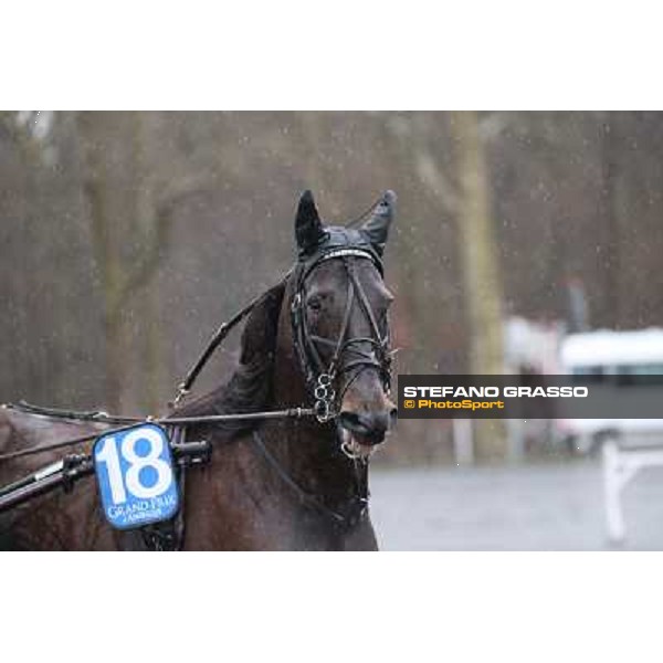 Orjan Kihlstrom with Maharajah wins the Grand Prix d\'Amerique 2014 Paris - Vincennes, 26th jan.2014 ph.Stefano Grasso
