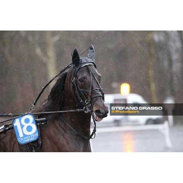 Orjan Kihlstrom with Maharajah wins the Grand Prix d\'Amerique 2014 Paris - Vincennes, 26th jan.2014 ph.Stefano Grasso